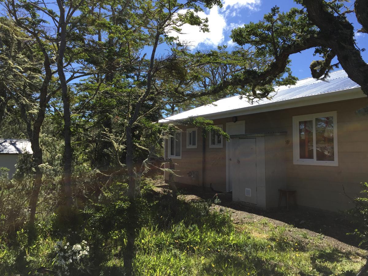 Cabanas Montes De La Patagonia Punta Arenas Exterior foto